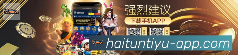 未来规划